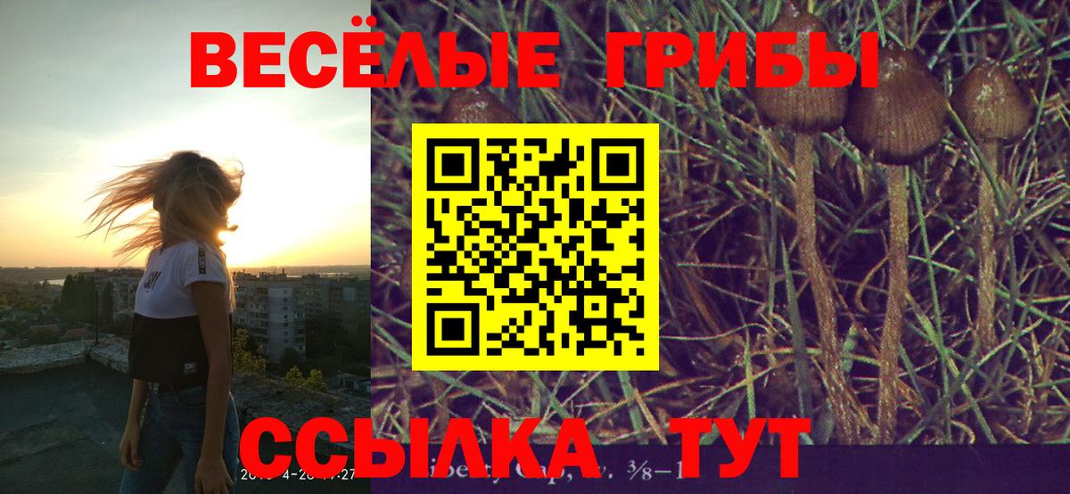 Галлюциногенные грибы Magic Shrooms  Вход с VPN  Урюпинск 