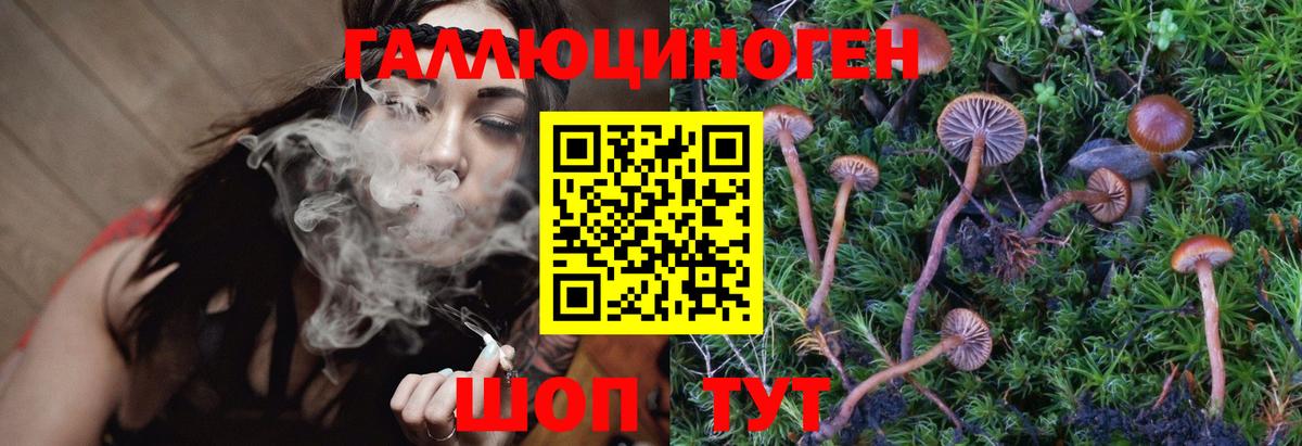Галлюциногенные грибы MAGIC MUSHROOMS Урюпинск